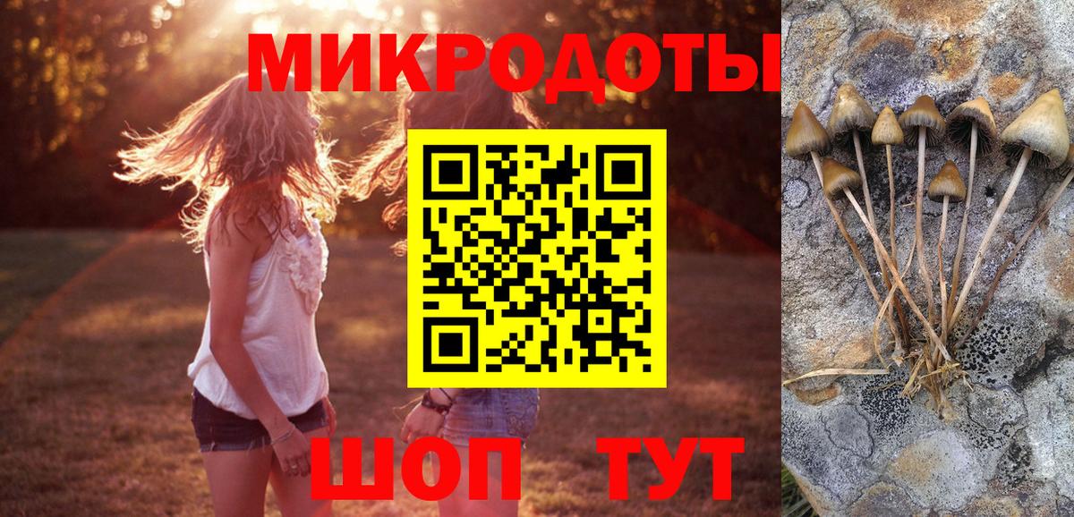 Псилоцибиновые грибы Magic Shrooms Сызрань